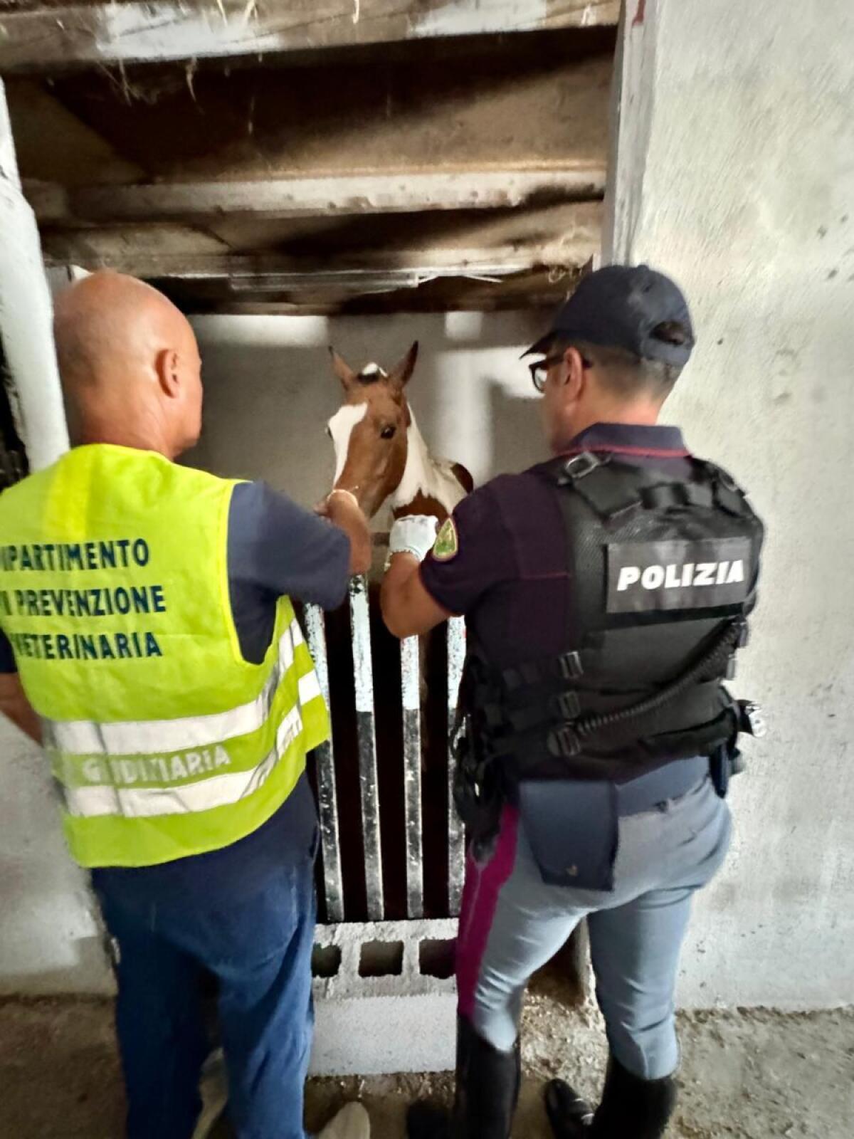 Controllo straordinario in Catania | La Polizia smaschera un lato oscuro del quartiere San Cristoforo! - 