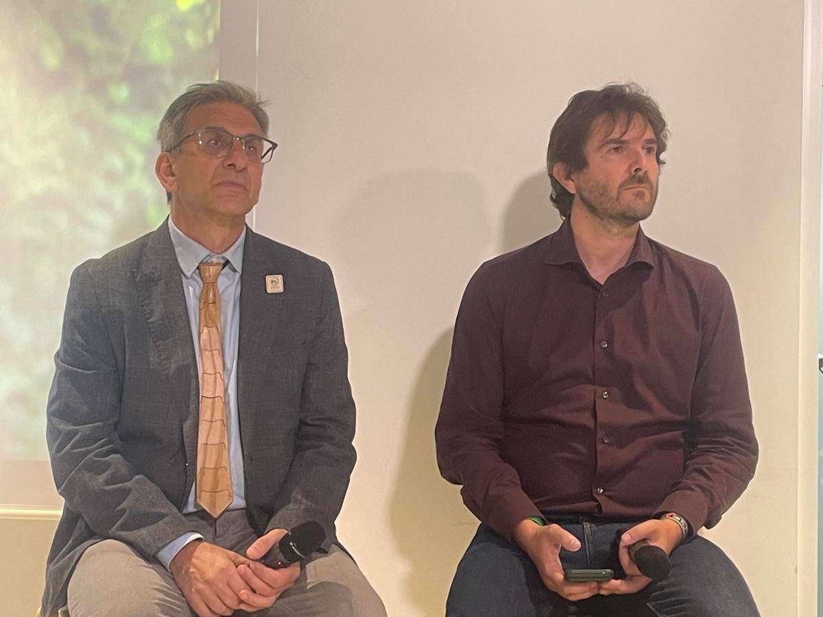 Ambiente, Vacchiano (UniMi): "Gestione forestale va adattata al contesto" - 