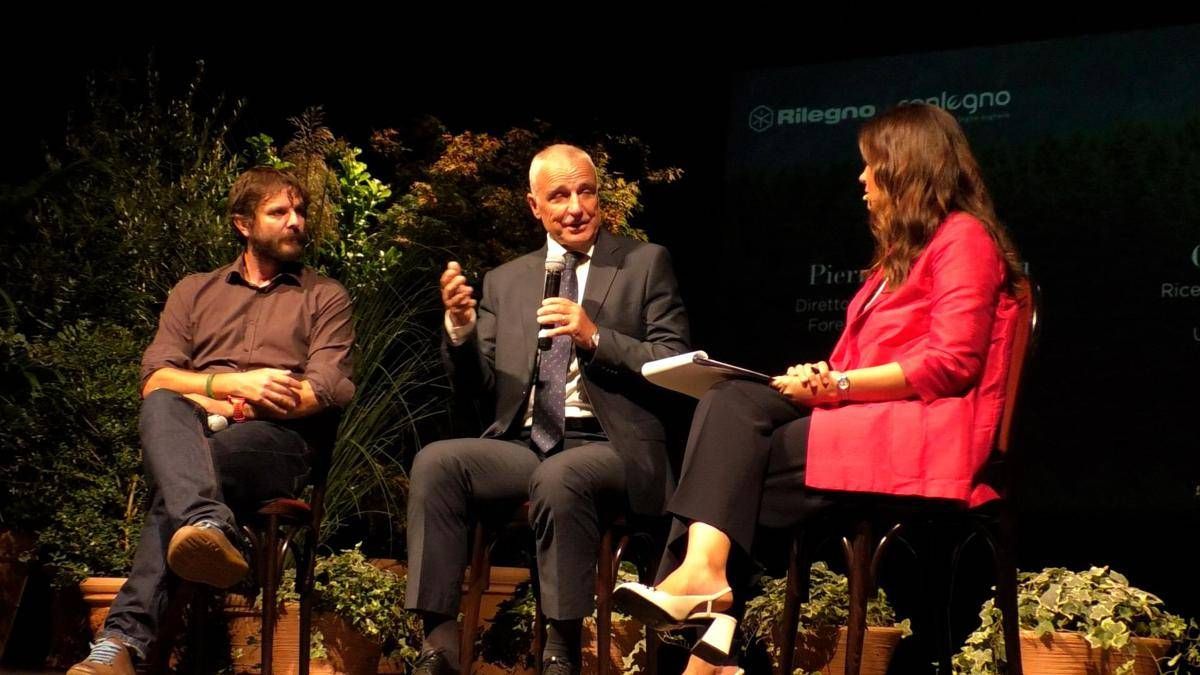 Legno, Vacchiano (uniMi): "L’attività di fotosintesi è a rischio diminuzione" - 
