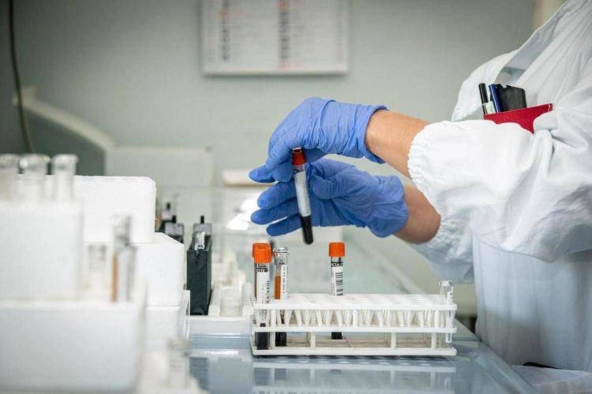 Chikungunya, secondo caso a Novellara -