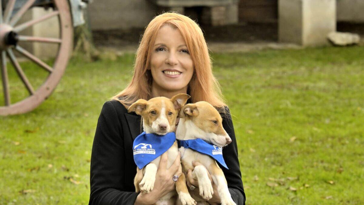 Legge Brambilla | La rivoluzione nella lotta contro il maltrattamento animale è finalmente arrivata! - 