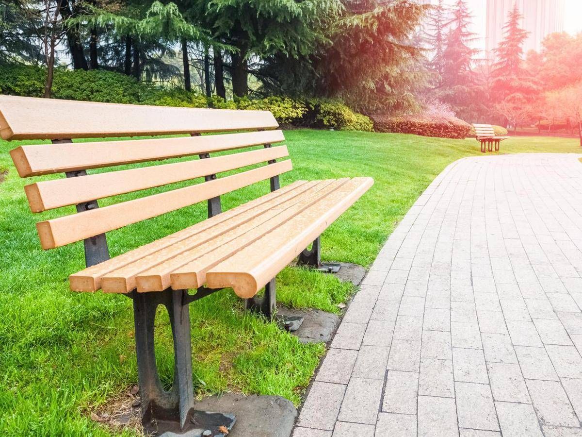 Più alberi in città, tutti i benefici del verde nei centri urbani - 
