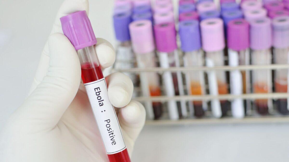 Ebola torna in Congo dopo 17 anni | Perché questa epidemia potrebbe essere più grave del previsto? -