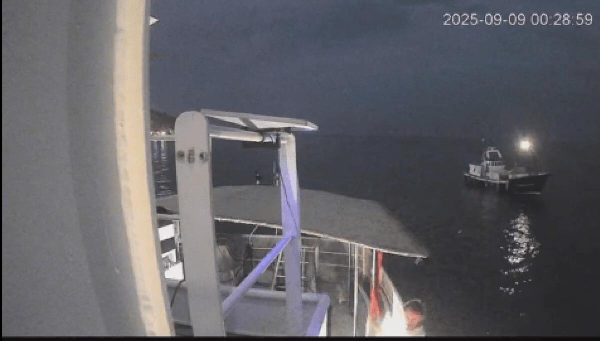 Barca con Greta colpita da un drone | È davvero un attacco o un incidente inspiegabile? - 
