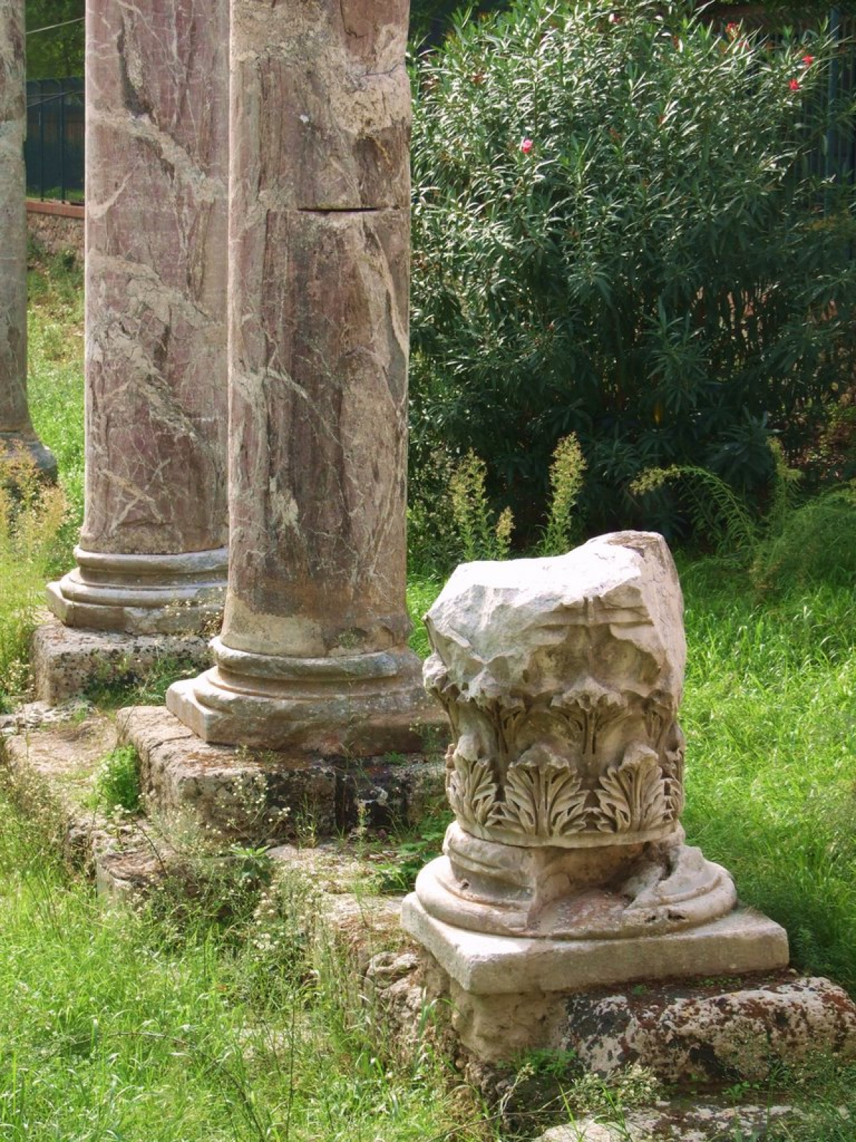 Sotto le strade di Siracusa dorme un segreto che ha deciso il destino di un impero - Foto: Salvo Cannizzaro/Wikipedia