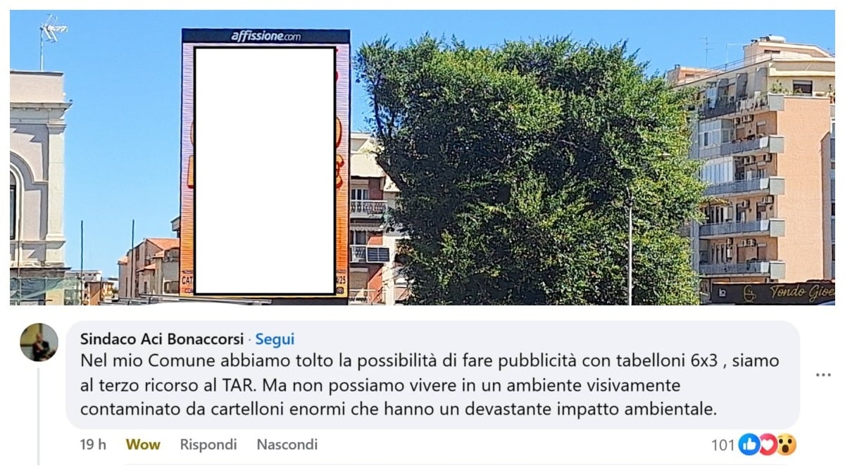 Alberi potati a Catania: i complimenti di Lungomare Liberato ad Aci Bonaccorsi - Credit Lungomare Liberato