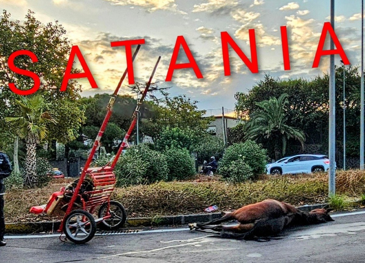 Cavallo morto a Catania | Il sarcastico resoconto di Inciviltà a Catania - Credit Foto Inciviltà a Catania