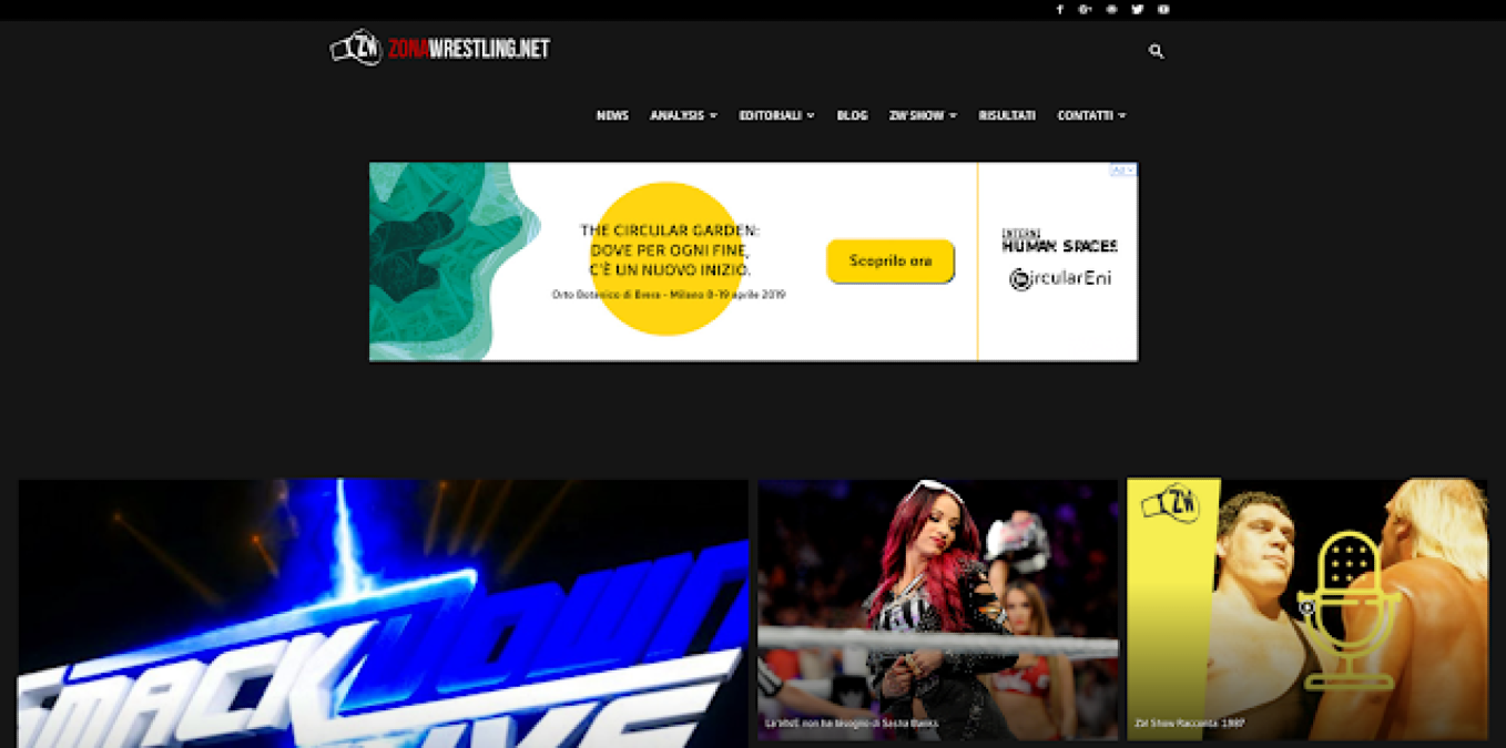 Voce agli editori: storia di successo tra eADV e zonawrestling.net  -