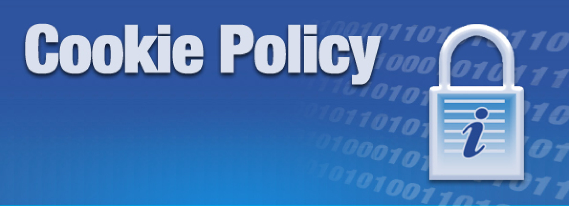 Privacy e Cookie Policy: istruzioni per l'uso  - 