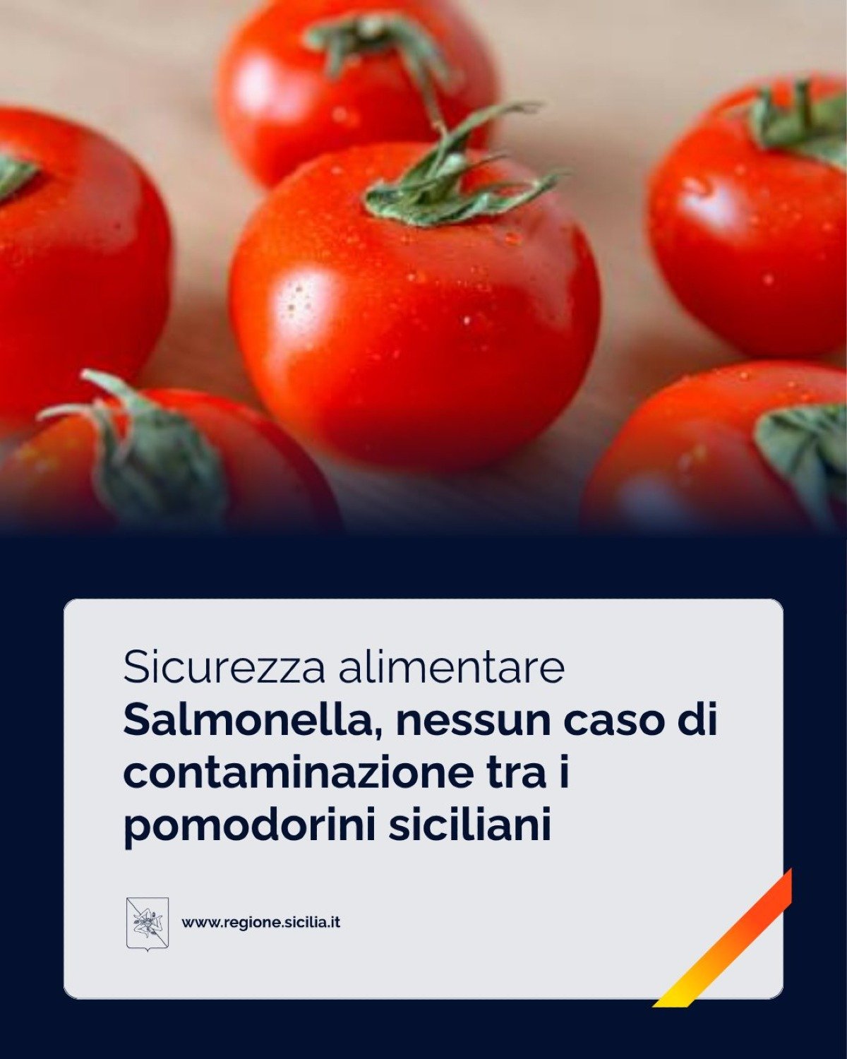 Allarme Salmonella? La Regione Siciliana chiarisce: nessun rischio - Credit foto Regione Siciliana