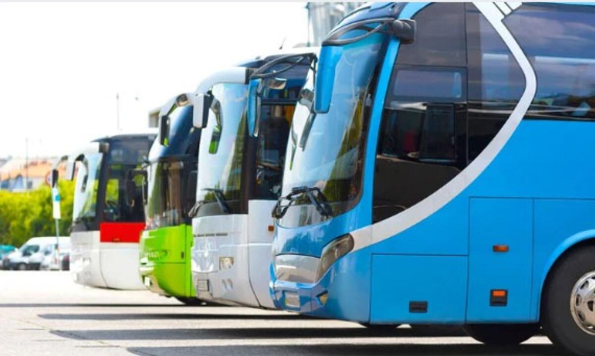 Bonus patente 2025 | Scopri perché potrebbe cambiare il futuro dei giovani autisti! -