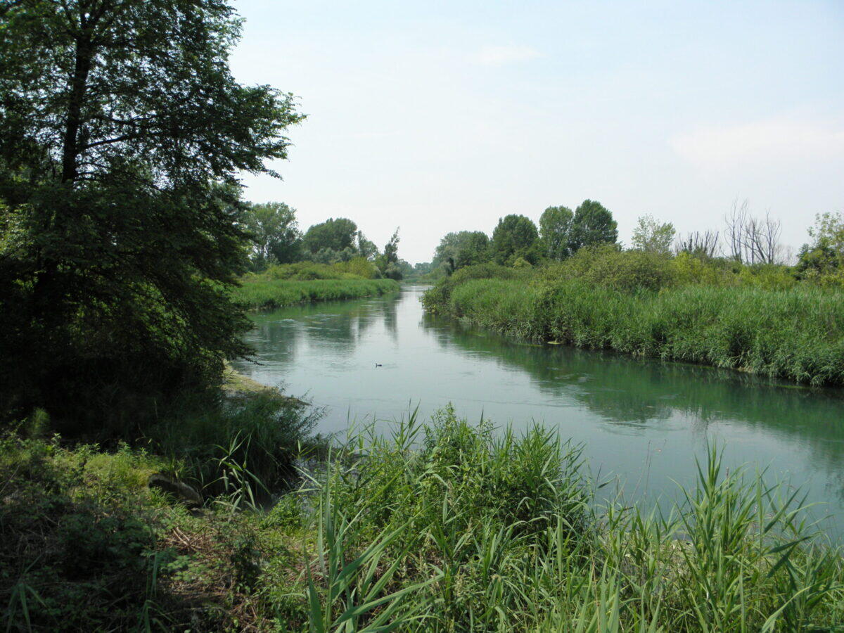 Tragedia a Treviso | I misteri di un suicidio collettivo tra madre e figli scuotono l'Italia! -