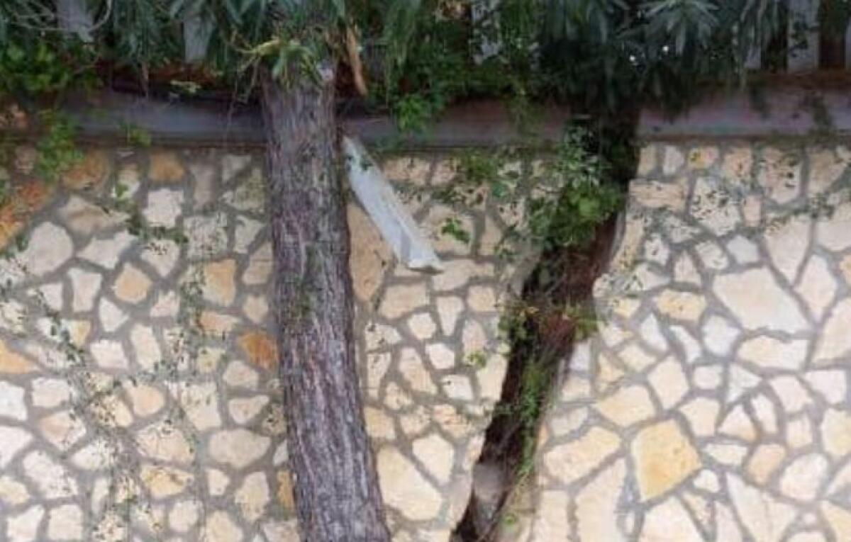Messa in sicurezza di Torrenova | La Regione Siciliana affronta decenni di dissesto idrogeologico! - 