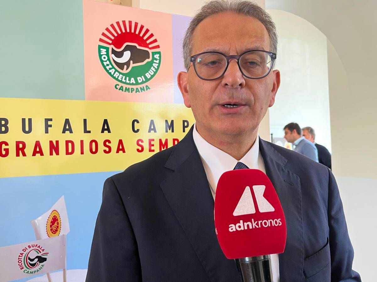 Made in Italy, Arcadia: "Il gusto della mozzarella di bufala Campana Dop conquista web, 37 milioni utenti in 2 anni" - 