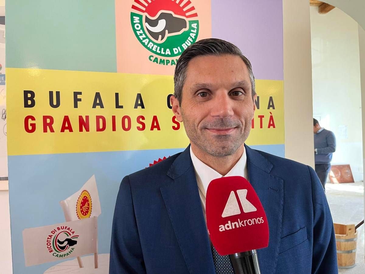 Made in Italy, Matricano (Univ. Vanvitelli): "Fare squadra tra Consorzio mozzarella campana Dop imprese e istituzioni" - 
