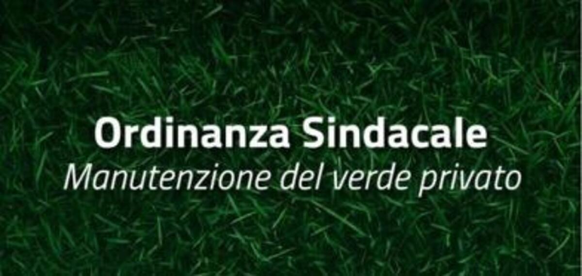 Obbligo di Manutenzione Verde | È davvero responsabilità dei cittadini? Comune di Messina scende in campo! - 
