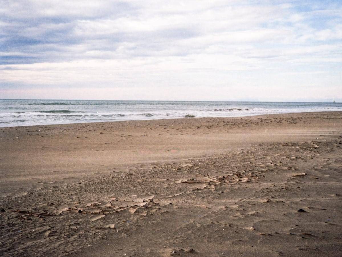 Spiagge a rischio, 1 su 5 può sparire entro il 2050: dove scatta l'allarme -