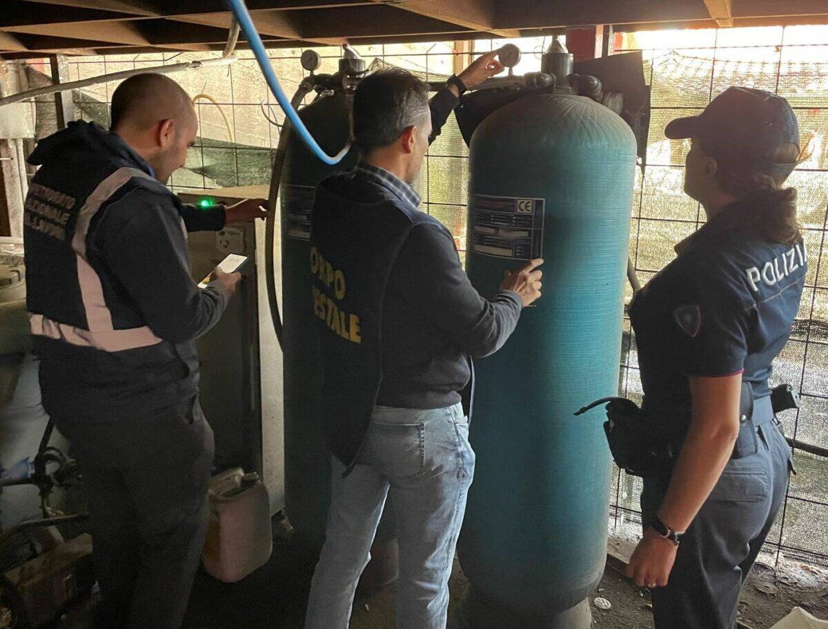 Controlli STRAORDINARI della Polizia a Catania | Scopri perché la sicurezza dei cittadini è a rischio! - 