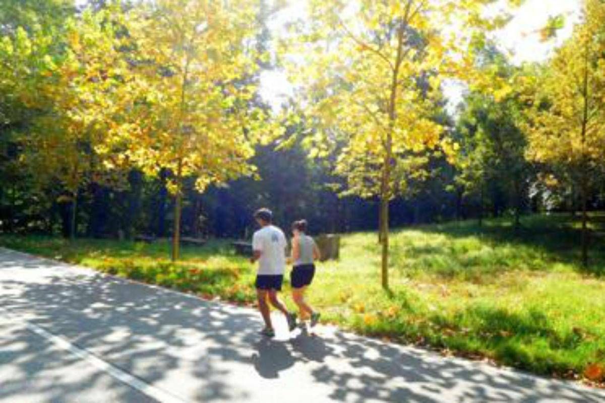Ottobrata alla massima potenza, nel weekend fino a 27°C da Nord a Sud - 