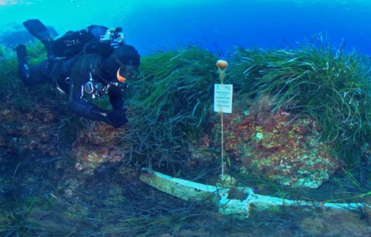 La Regione Siciliana conquista Paestum con un'innovativa esperienza immersiva | Scopri perché molti la considerano la nuova frontiera del turismo culturale! -