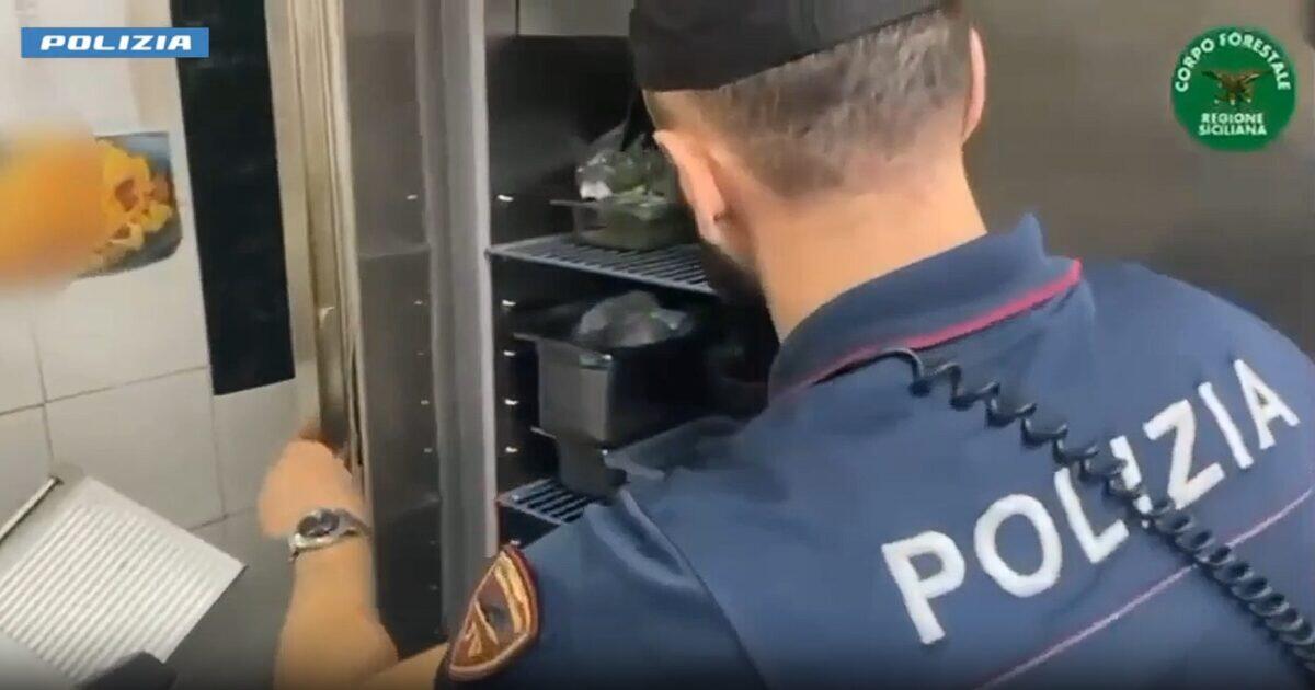 Controlli a sorpresa della Polizia di Catania | Scoperti irregolarità e sanzioni da migliaia di euro! -