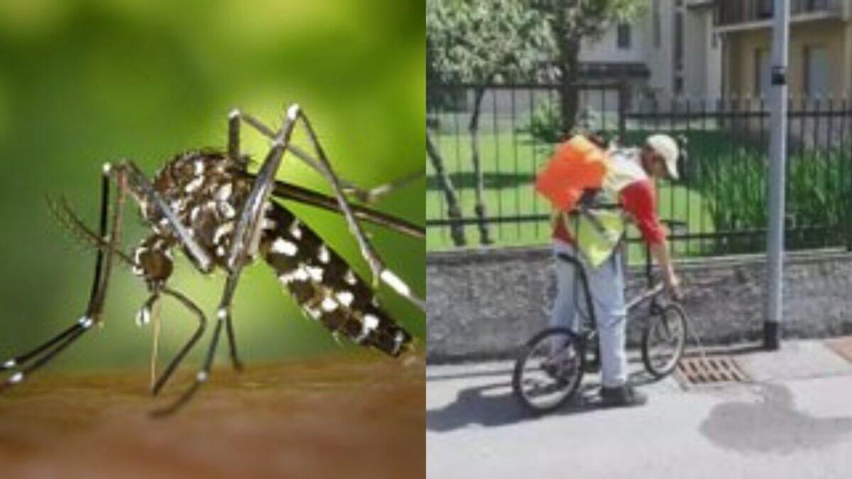 740 casi di West Nile in Italia | Gli esperti avvertono: il peggio deve ancora arrivare! -