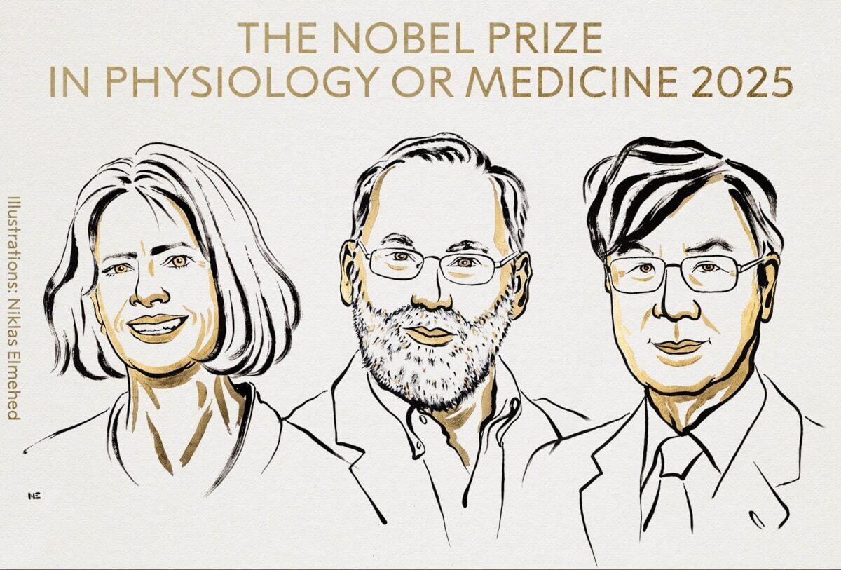 Vincitore del Nobel scopre il premio... solo dopo un'escursione! | Può la disintossicazione digitale costargli fama e riconoscimento? - 