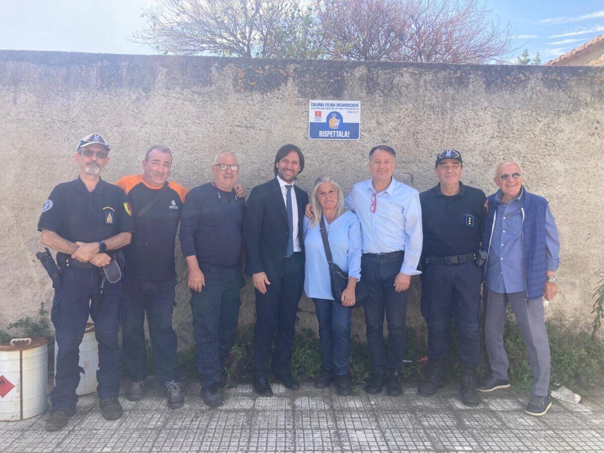 Palermo segna un passo avanti con 50 colonie feline | Ma i cittadini sono davvero pronti a proteggere i nostri amici a quattro zampe? -