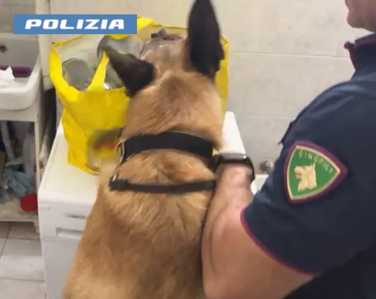 Scoperta shock a Catania | La Polizia interrompe un giro d'affari da oltre 60 mila euro! -