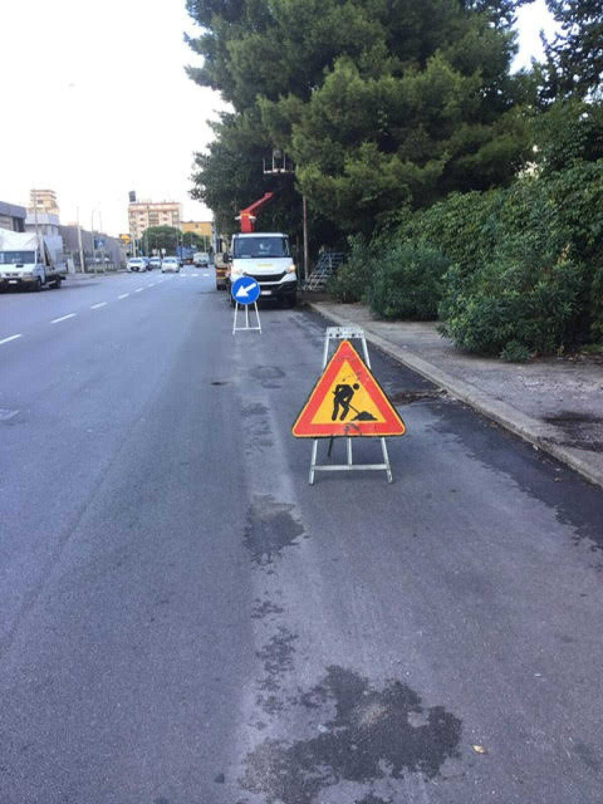 Palermo rimuove 11 pali pericolosi | Chi pensava che fosse solo un problema estetico? - 