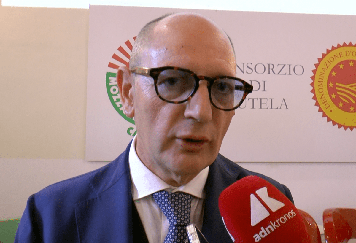 Consorzio mozzarella bufala campana Dop: "Prodotto modello di sviluppo tra tradizione e innovazione" - 