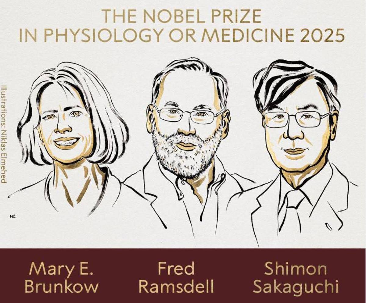 Nobel per la Medicina a Brunkow, Ramsdell e Sakaguchi per scoperte su sistema immunitario - 