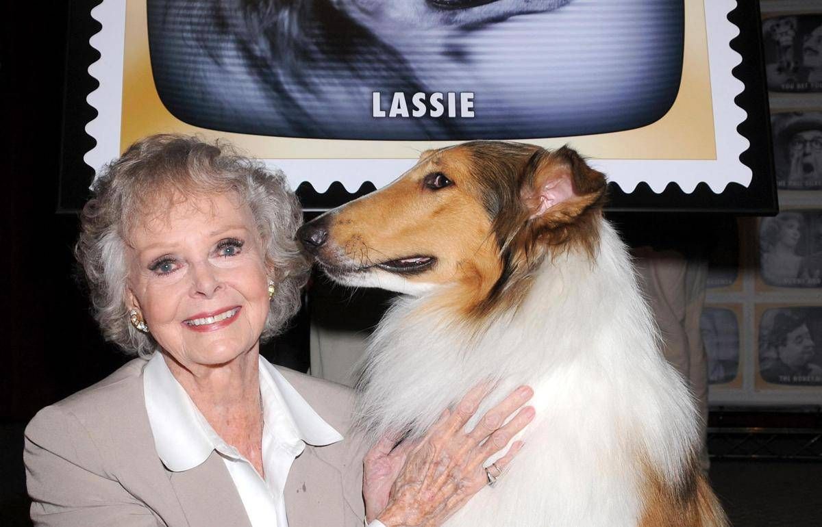 Morta June Lockhart, la mamma star di 'Lassie' aveva 100 anni - 