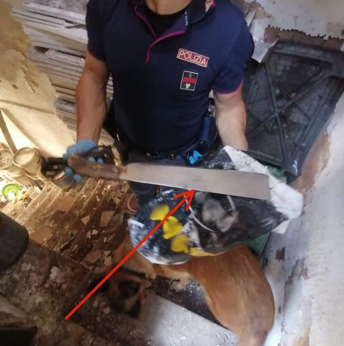 Controlli straordinari a Catania | La Polizia svela segreti inquietanti tra droga e lavoro nero! -