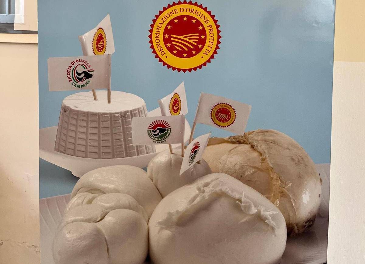 La mozzarella di bufala campana Dop raggiunge un pubblico digitale di 37 milioni di utenti - 