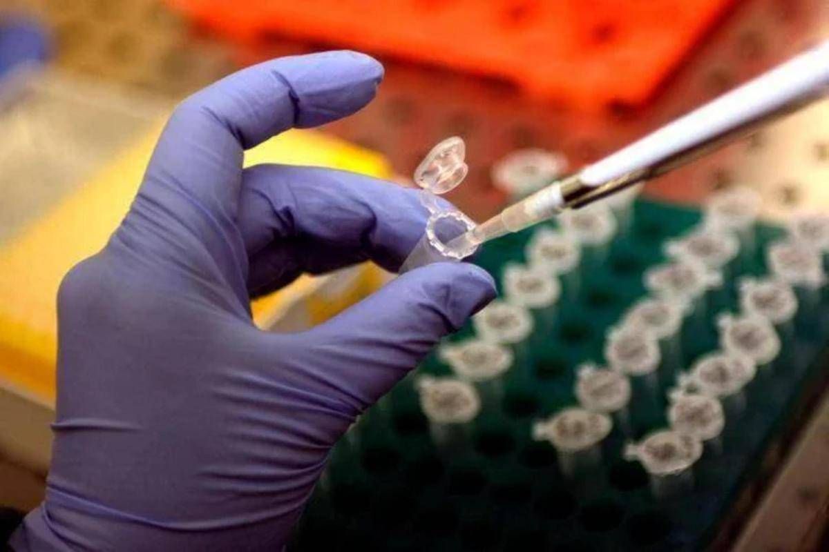 Cancro alla prostata, Dna potrebbe svelare rischio basso o alto: lo studio - 