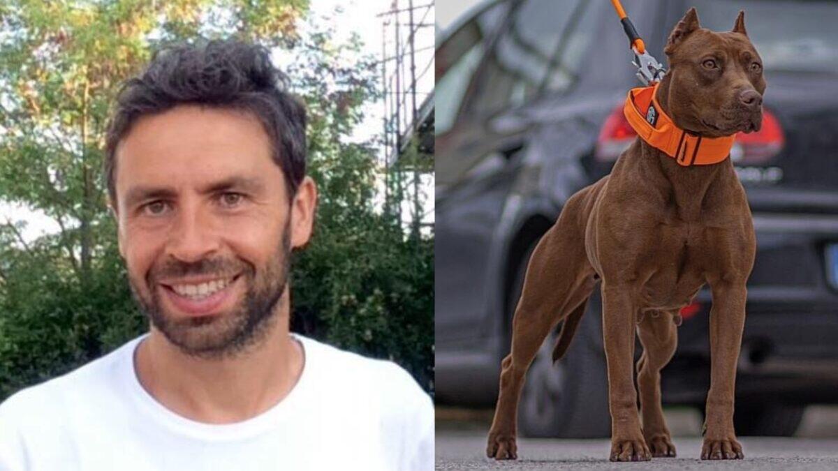 Un Comune in crisi per 9 cani sequestrati | È possibile che un simile problema porti al default? -