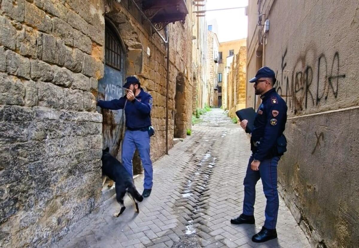 Polizia in azione a Caltanissetta | Scopri cosa ha rivelato il controllo straordinario contro il degrado urbano! - 