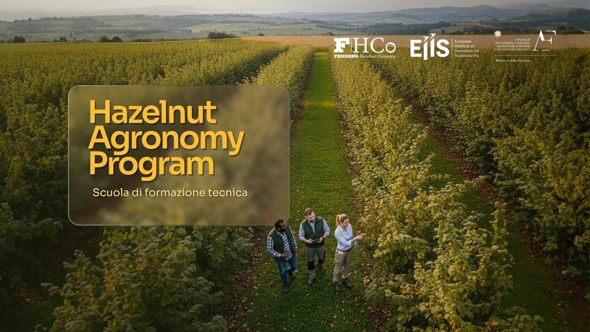 Sostenibilità, al via l’Hazelnut Agronomy Program: scuola tecnica dedicata al nocciolo -