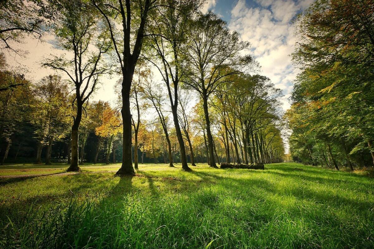Assunzioni nei Parchi di Sicilia | Perché potrebbero cambiare il nostro modo di vivere la natura! -