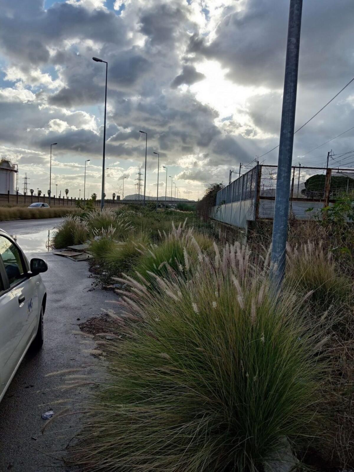 Furto di cavi a Palermo | Perché la sicurezza della tua zona è ora a rischio? - 