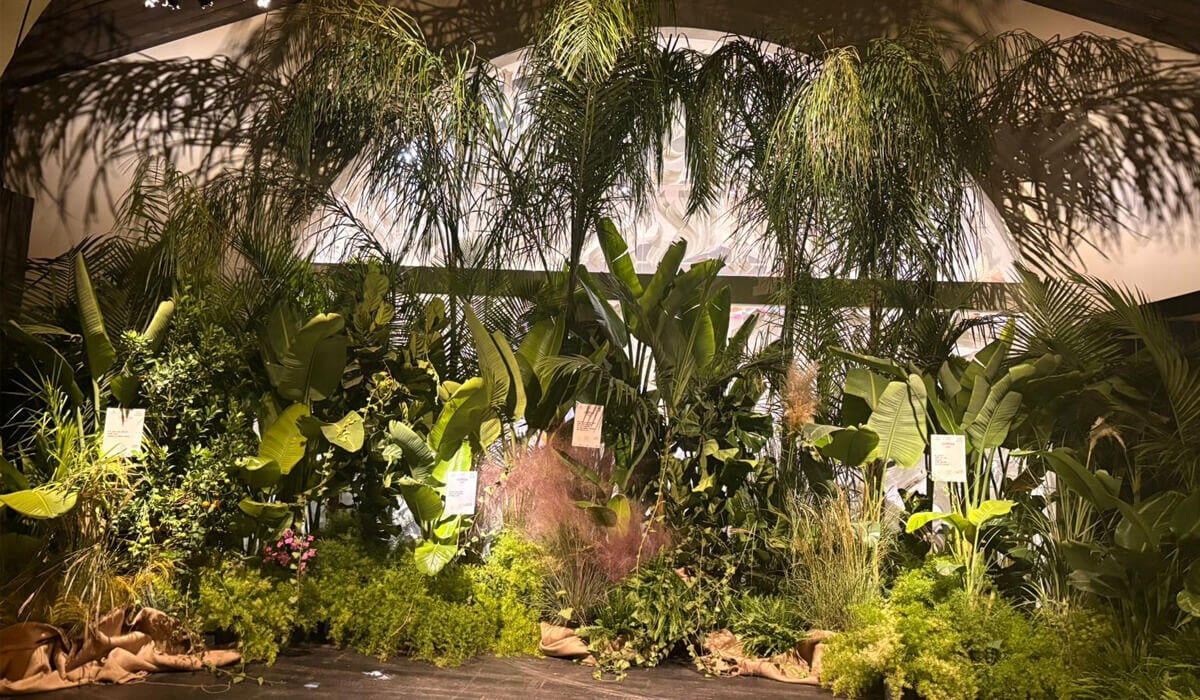Scopri il Giardino della Felicità in Sicilia | Perché le Olimpiadi del Teatro stanno cambiando il nostro modo di vedere la felicità? - 