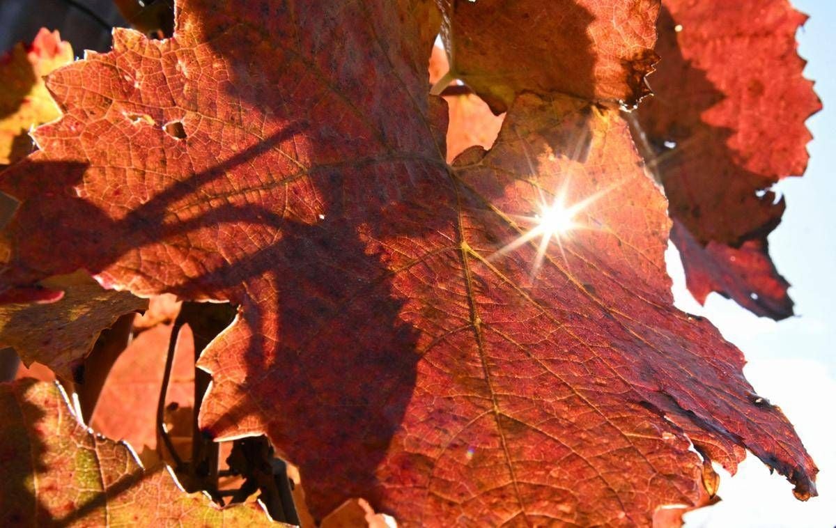 Sole e caldo ma solo per 48 ore, poi arriva il ciclone di Halloween: ecco il meteo che ci aspetta -