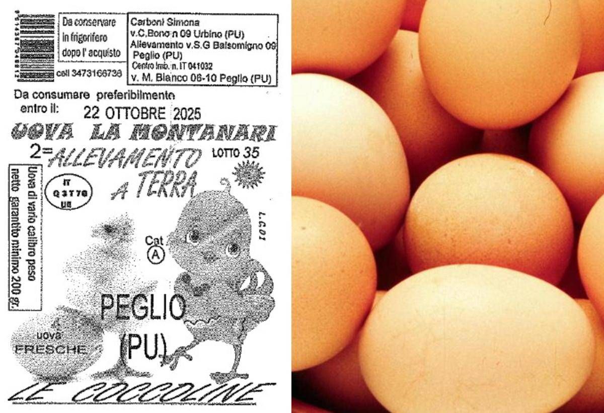 Uova ritirate dal mercato per rischio salmonella: il lotto - 