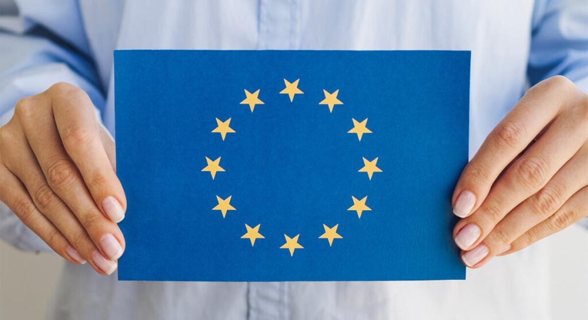 Fondi Europei in Regione Siciliana | La VeritĂ Svelata sulla Difesa Che Nessuno Si Aspettava! -