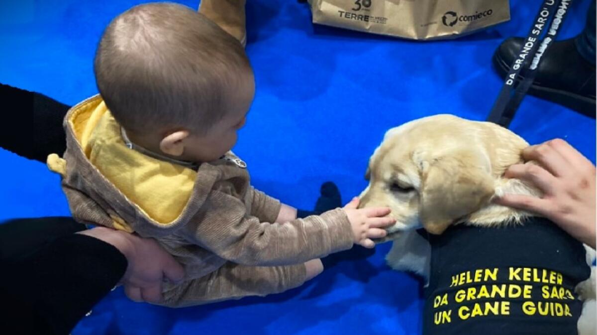 Caltanissetta insegna il valore dei cani guida | Scopri come la comunità si unisce per i diritti dei non vedenti! -