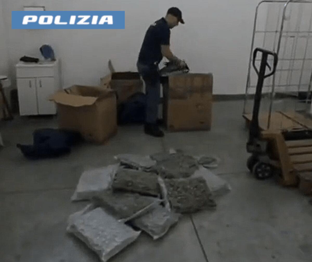 Scoperta un'enorme piantagione di marijuana a Catania | Perché la Polizia non arresta altri complici? - 