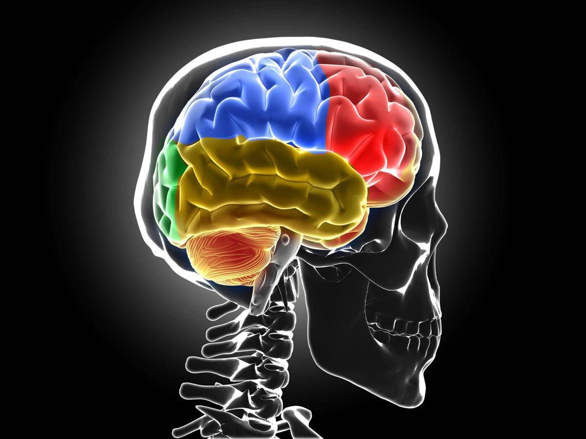 Sistema di 'lavaggio' in tilt, ecco cosa succede al cervello senza sonno - 