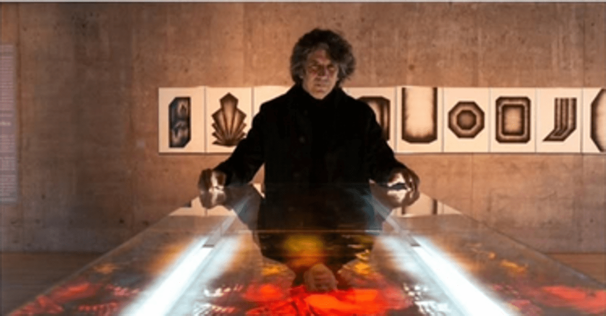 Mostre: Bienalsur arriva a Napoli, al museo dell'Ateneo Vanvitelli 'Anatomia delle Qualità' -
