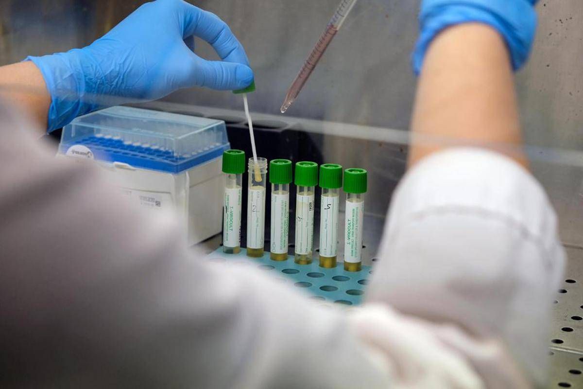 Medicina, italiani svelano errori nascosti nelle cellule: "Possibile ruolo in più malattie" - 